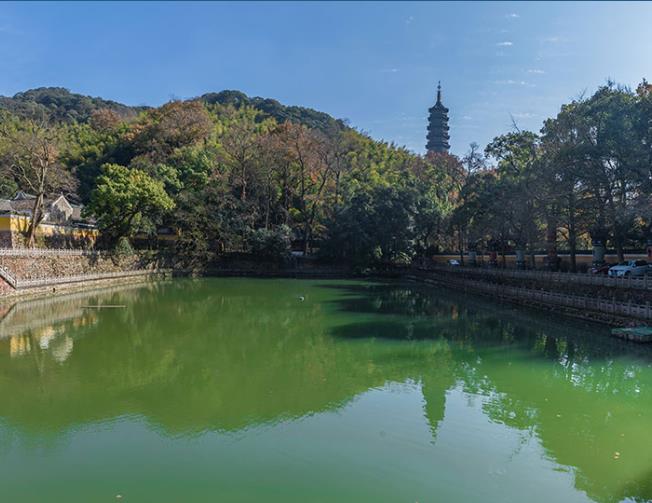 常见的屠宰场污水处理工艺是怎样的？